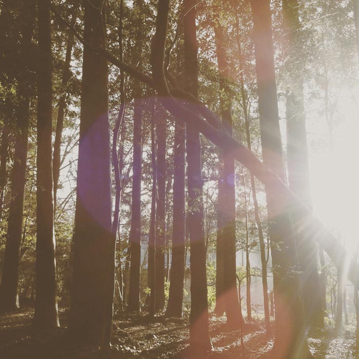 ギャラリーみつけでの個展の詳細